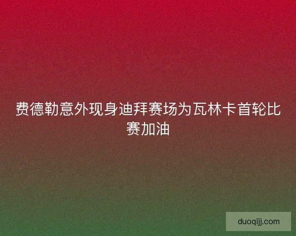 费德勒意外现身迪拜赛场为瓦林卡首轮比赛加油