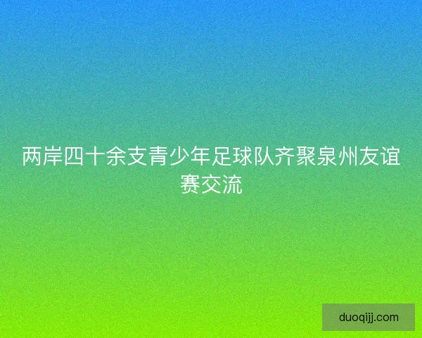 两岸四十余支青少年足球队齐聚泉州友谊赛交流